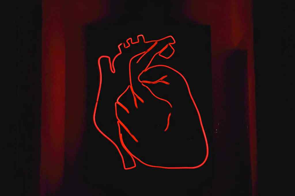 A bright red outline of an anotomical heart on a dark background.
