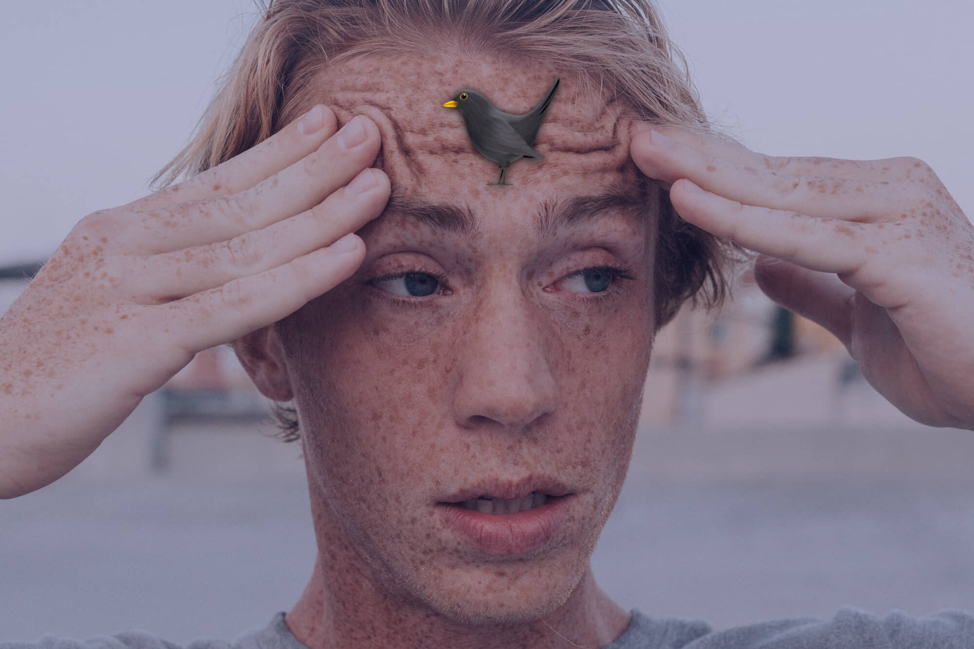 confused man with a black bird on his face