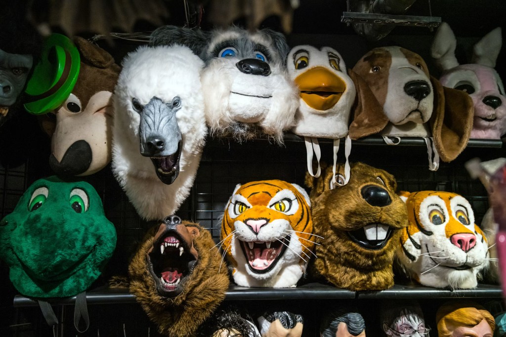 We Made a March Madness Bracket to Determine the Sexiest College Sports Mascot