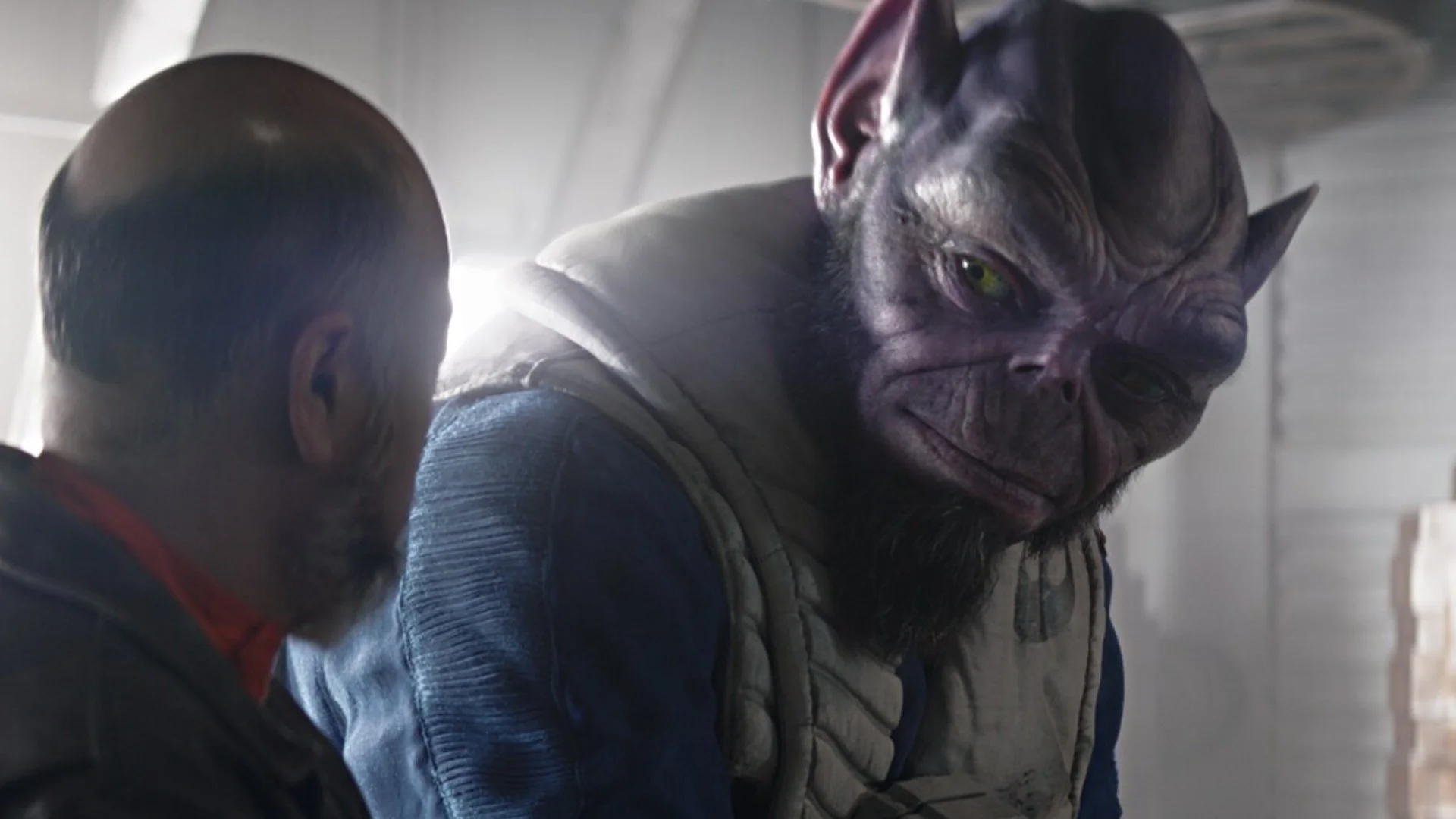 The Top Ten Most Fuckable Star Wars Alien Species, Ranked