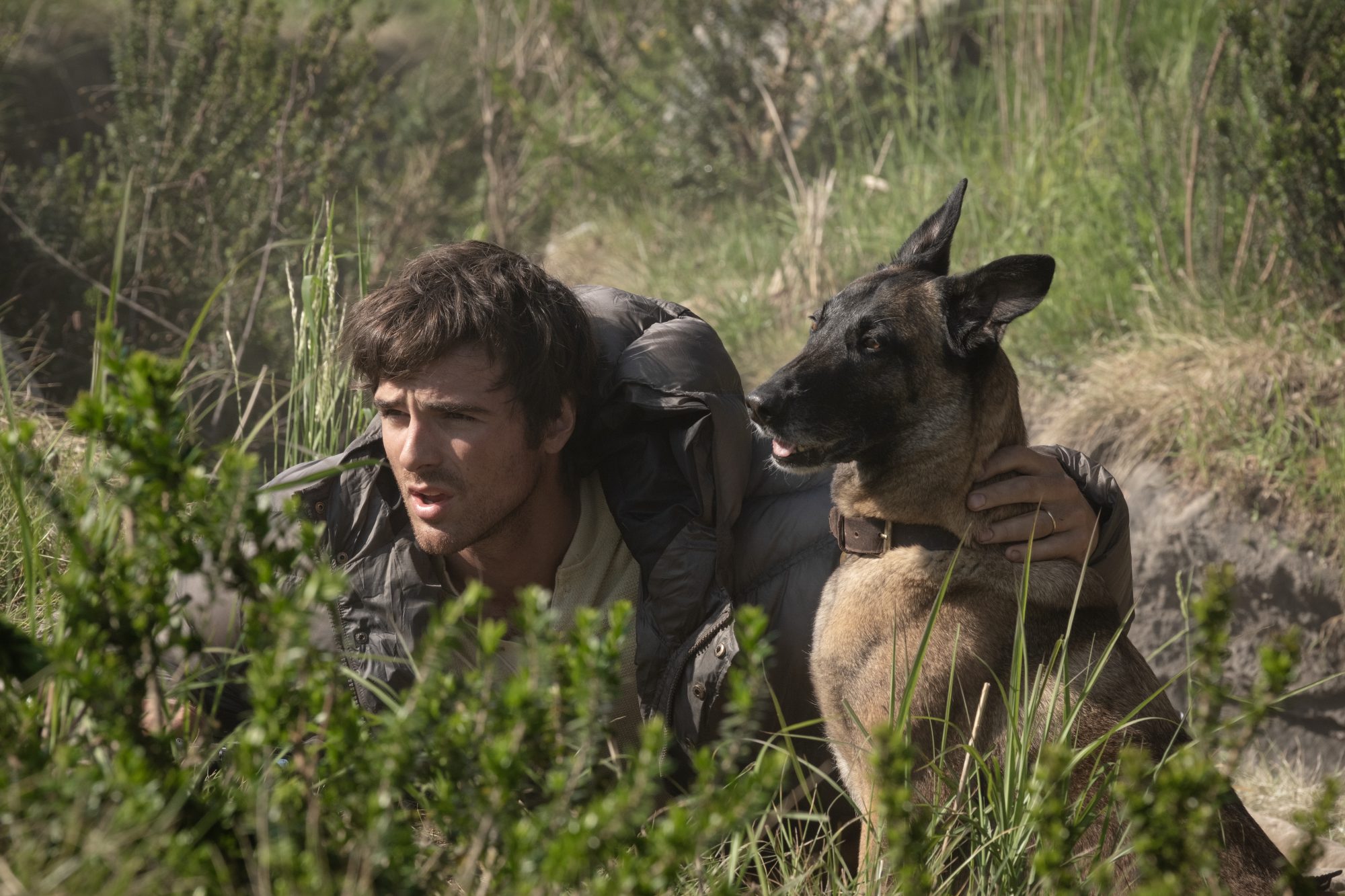 ‘The Dog Stars’ Is Ridley Scott’s Best Film In Years